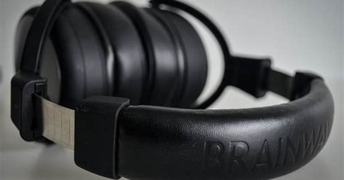 Are Brainwavz Hm5 Good?