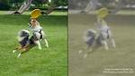 Can Dogs See Phones?