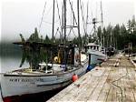 How Do Residents of Port Protection Make Money?