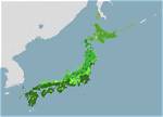 How Much of Japan Is Forest?