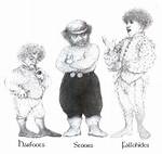 How Tall Are Fallohides?