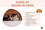 What Are Signs of Abuse in Dogs?