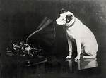 What Breed Was Nipper the Hmv Dog?