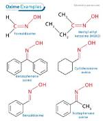 What Is the Oxime Bond?