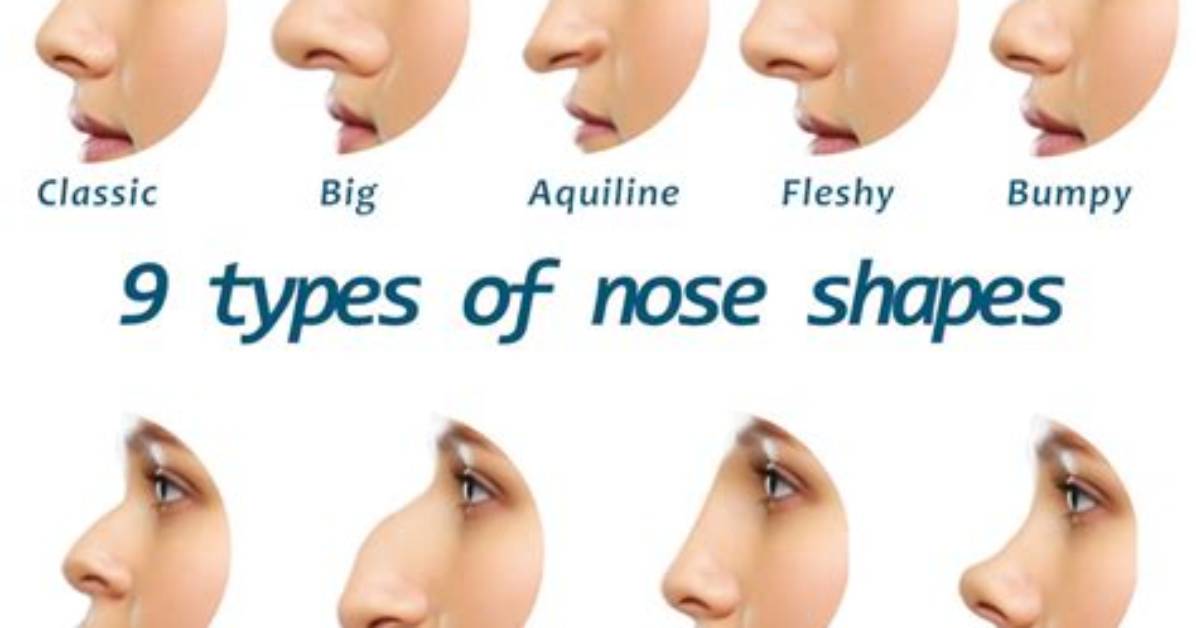 What Type of Nose Does Korean Have?
