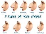 What Type of Nose Does Korean Have?