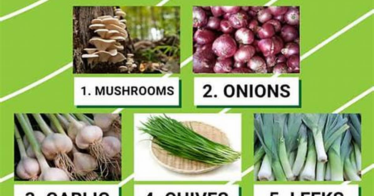 What Vegetables Are Poisonous to Dogs?